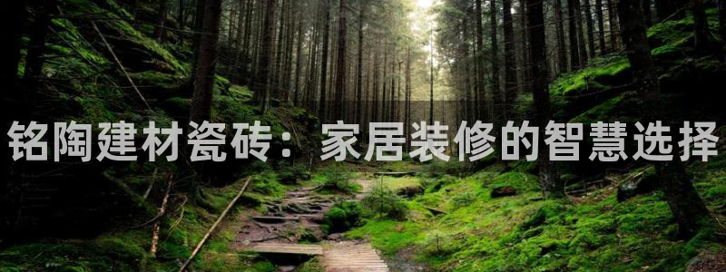 杏鑫平台正规吗是真的吗