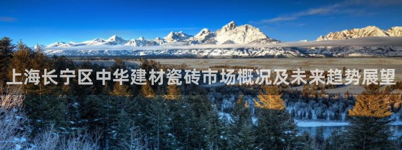 杏鑫平台代理注册登录不了怎么办呀