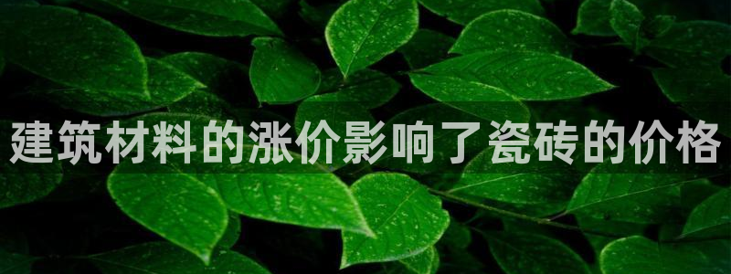 杏鑫平台靠谱吗