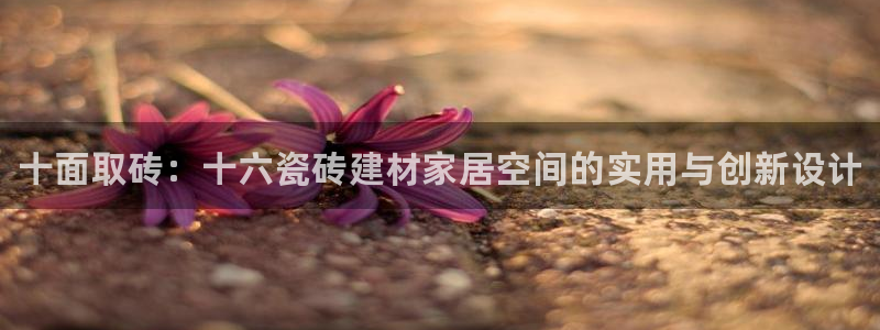 杏鑫平台怎么样黑钱吗知乎