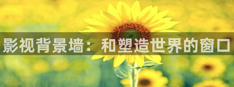 悠久影院免费观看电视剧：影视背景墙：和塑造世界的窗口