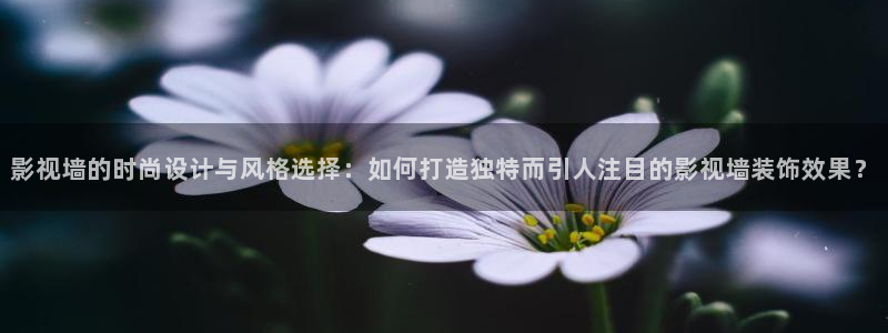 日本电影悠久影院：影视墙的时尚设计与风格选择：如何打造独特而引人注目的影视墙装饰效果？