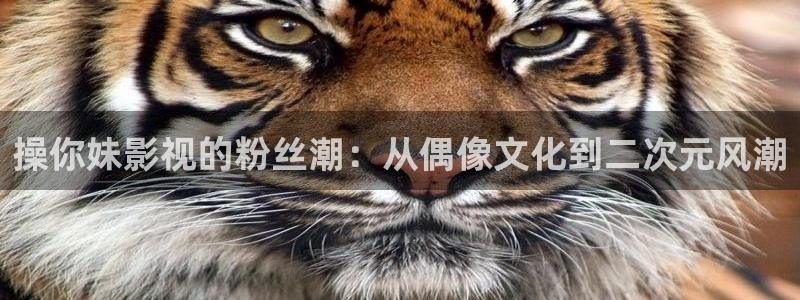 悠久影院：操你妹影视的粉丝潮：从偶像文化到二次元风潮