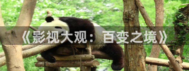 影院在线观看电视剧高清免费悠久影院：《影视大观：百变之境》