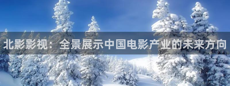 悠久影院免费：北影影视：全景展示中国电影产业的未来方向