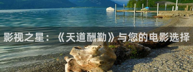 悠久影院电影免费大全：影视之星：《天道酬勤》与您的电影选择
