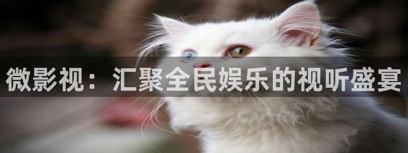 悠久影院在线免费观看完整版：微影视：汇聚全民娱乐的视听盛宴