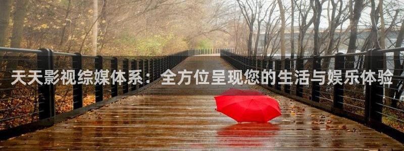 悠久影院电影：天天影视综媒体系：全方位呈现您的生活与娱乐体验